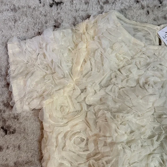 BNWT LOFT Cream Floral Tulle Blouse. Size S. - Picture 4 of 7